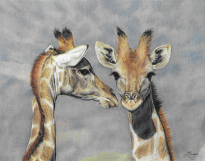 Giraffes Interrupted