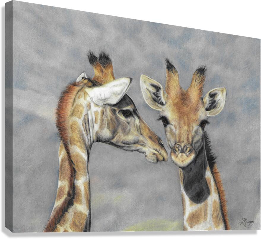 Giraffes Interrupted  Canvas Print
