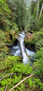 Natures Waterslide