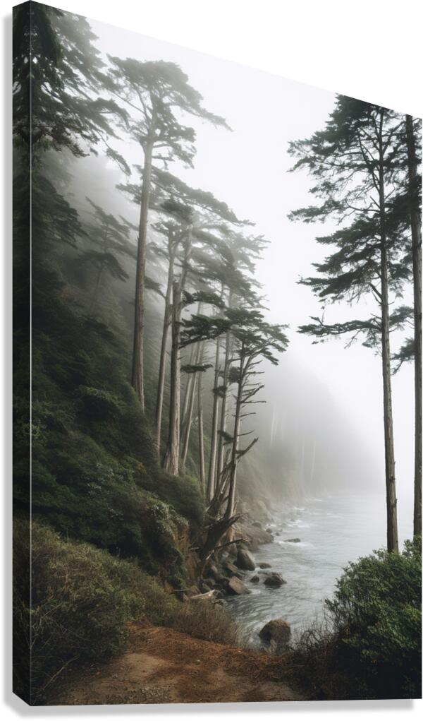 Foggy trees on the west coast Canvas Print