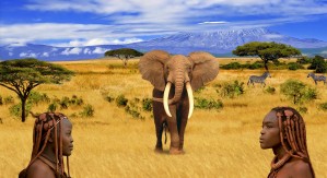 Elephant Animals of Africa
