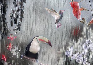 bird hummingbird flowers garden summer tropics