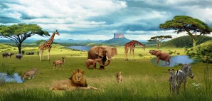 Landscapes and animals of Africa. Elephant