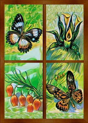 Window to world of nature 1
