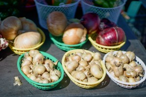 Farmers Market - No. 2