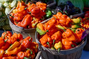 Farmers Market - No. 6