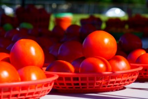 Farmers Market - No. 5