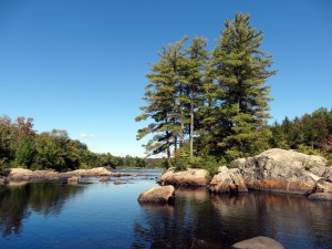 Scenes on the Moose River - No. 1