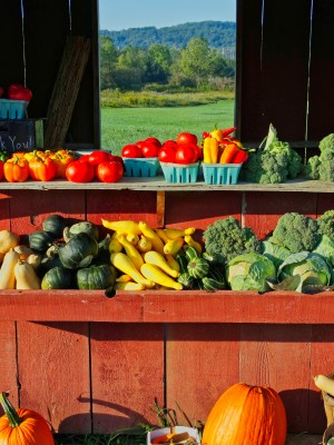 Farm-fresh Vegetable Stand in the Mohawk River Valley
