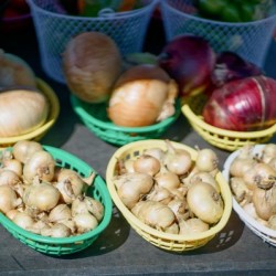Farmers Market - No. 2