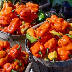 Farmers Market - No. 6
