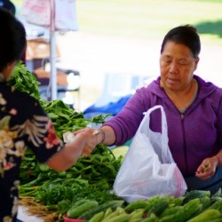 Farmers Market - No. 3