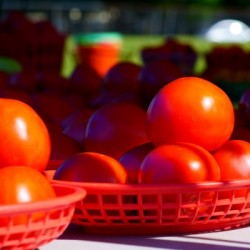 Farmers Market - No. 5