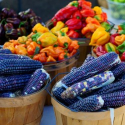 Farmers Market - No. 1