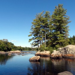 Scenes on the Moose River - No. 1