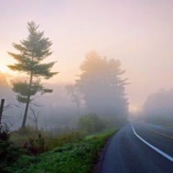 Foggy Morning in the Mohawk River Valley