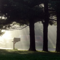 Mailbox on a Misty Morning in the Mohawk Valley