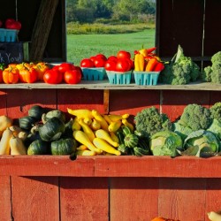 Farm-fresh Vegetable Stand in the Mohawk River Valley