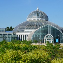 Como Conservatory - No. 2