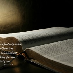 Your Words Were Found