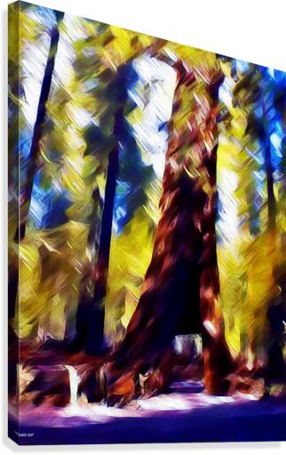Gefallener Baum Canvas Print