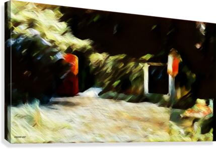 Nathans garden  Canvas Print