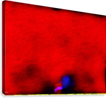 Domvision  Canvas Print