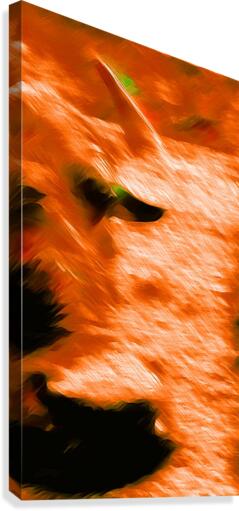 Büffeln Canvas Print