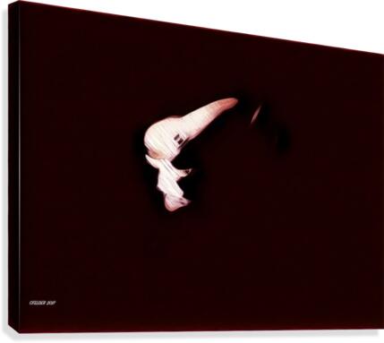 Brüste Canvas Print