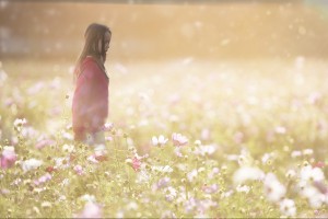 Peaceful Meadow Utah United States