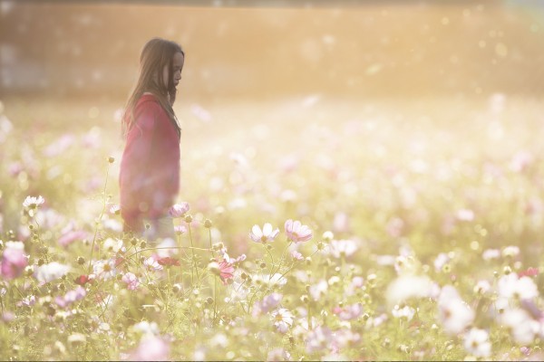 Peaceful Meadow Utah United States Print