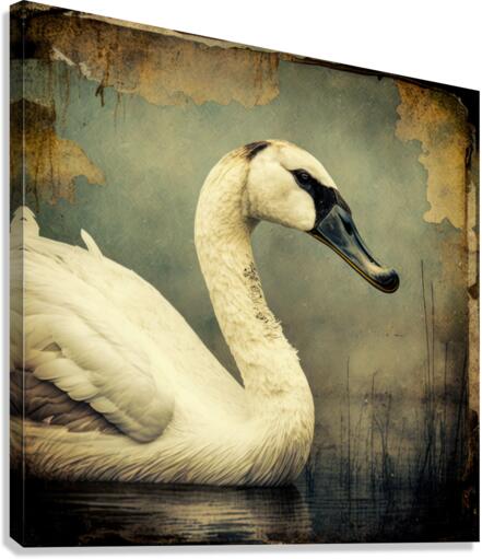 SWAN SONG 98 by Artonomous Gallery Wall Art