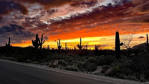 Orange Sunset at Sabino Canyon