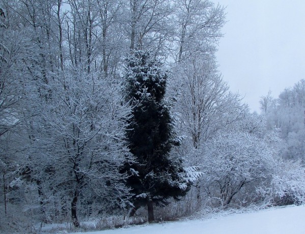 Winter Silence Print