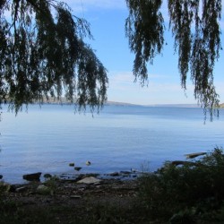 Cayuga Lake