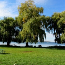 Stewart Park Ithaca New York