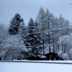 A New York Winter