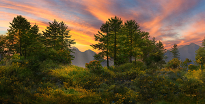 ALPINE VIEW P
