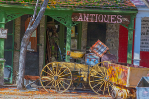 Antique Shop 2