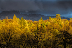 Backyard View to the East at Sunset
