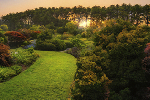 Botanical Gardens D