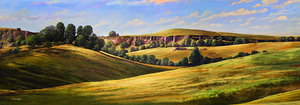 CANYON OAKS P