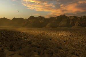 Desert Luminosity