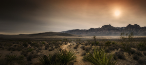 Desert Trail At Sunset Panorama