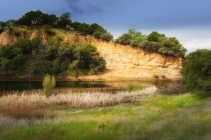 Gold Pond