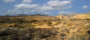 Hiking Trail In The Desert Panorama