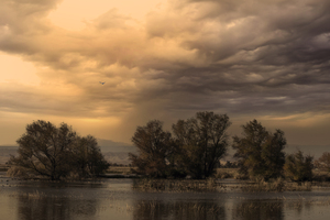 Incoming Rain