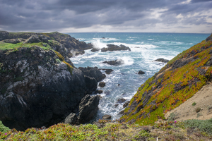 Pacific Ocean Seascape