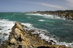 Sharp Shore Rocks