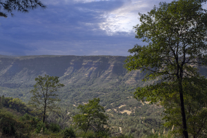 Summer in Butte Creek Canyon